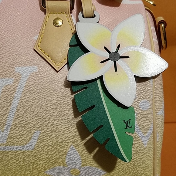 Louis Vuitton By the Pool Speedy 25 Ombre Buttery Yellow Pink Very Rare Ltd Edtn - Picture 2 of 8